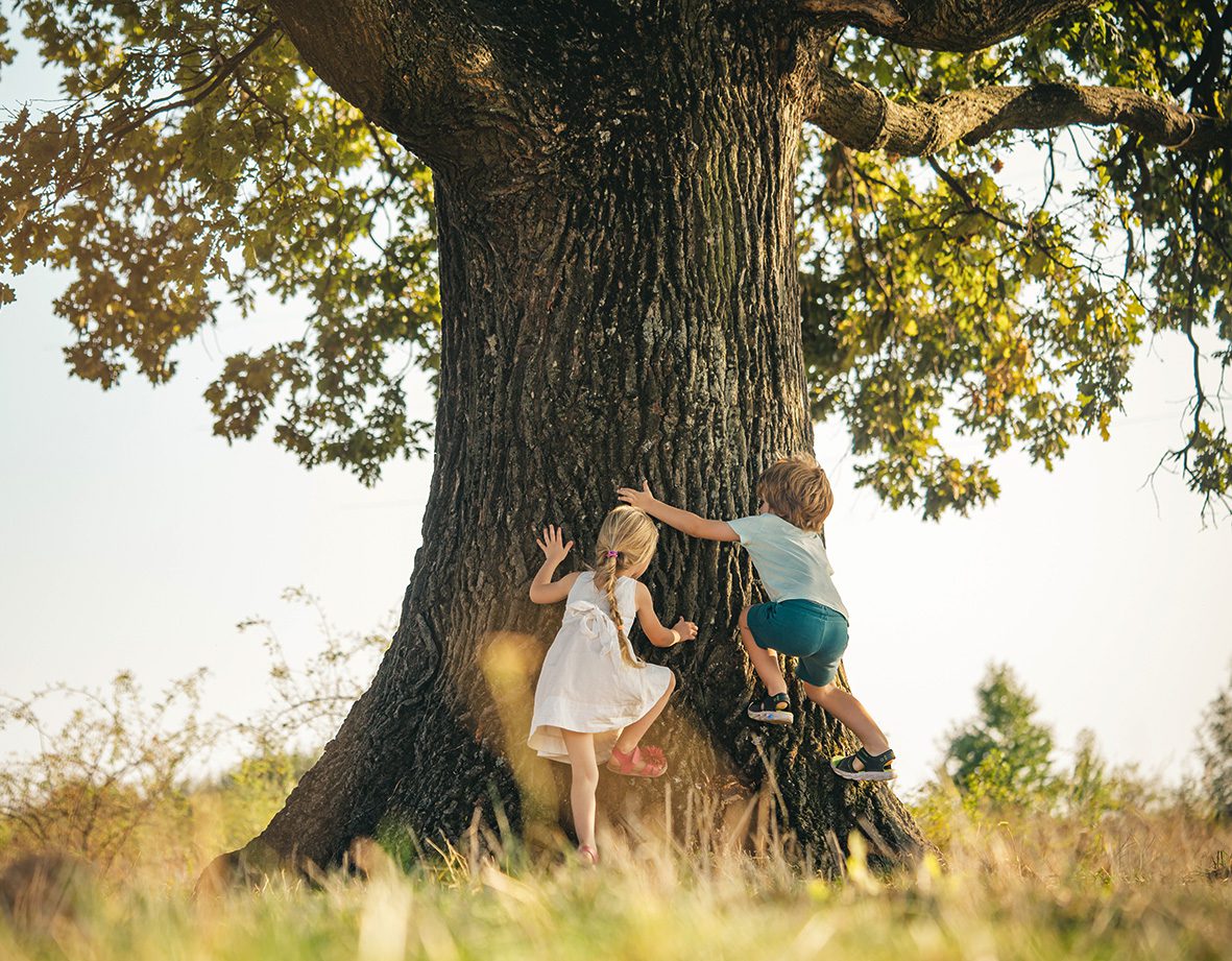 Overcoming,The,Fear,Of,Heights.,Happy,Children,On,Countryside.,Climbing